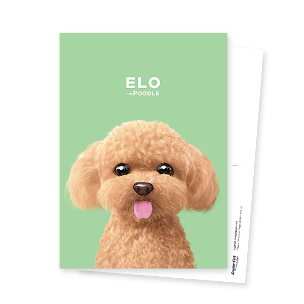 Elo the Poodle Postcard