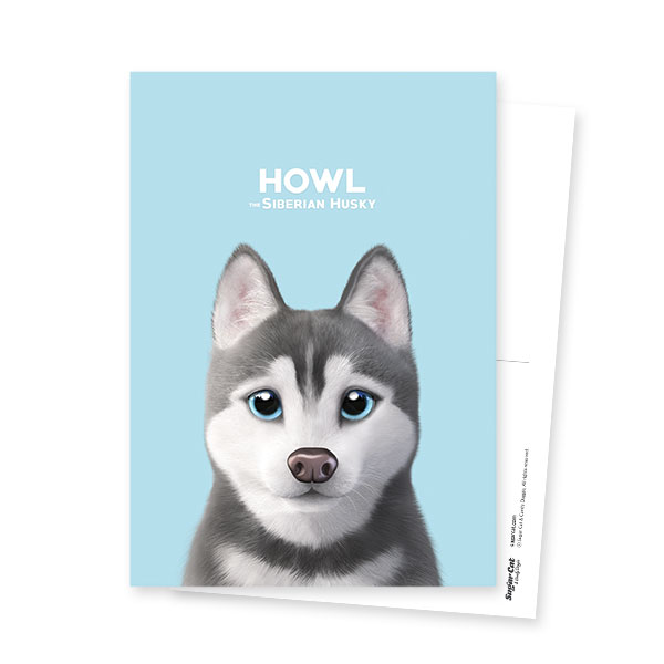Howl the Siberian Husky Postcard