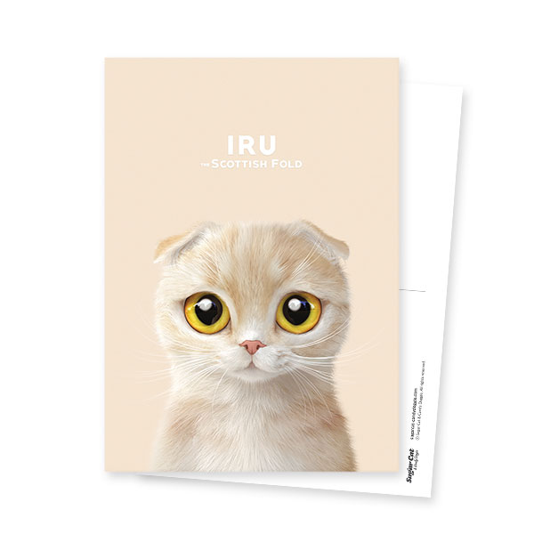 Iru Postcard