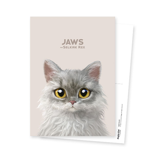Jaws Postcard