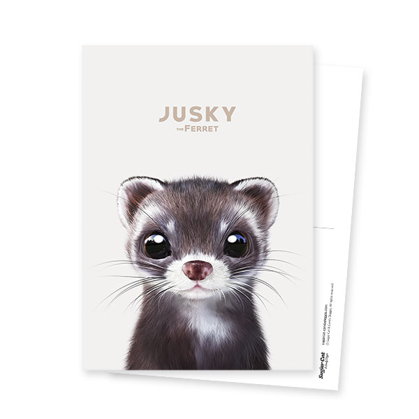 Jusky the Ferret Postcard