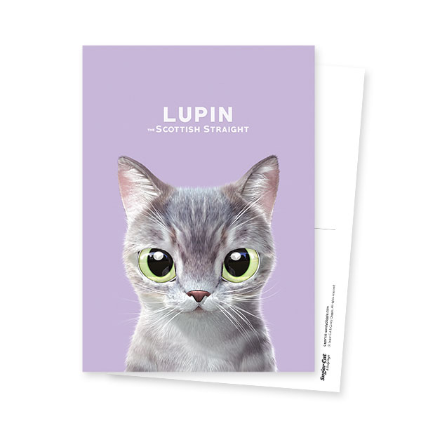 Lupin Postcard