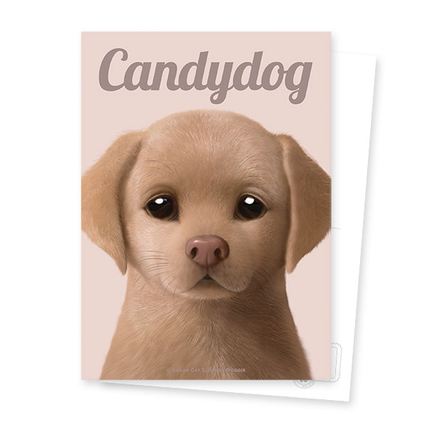 Cocoa the Labrador Retriever Magazine Postcard