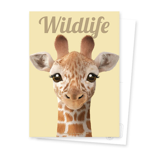 Capri the Giraffe Magazine Postcard