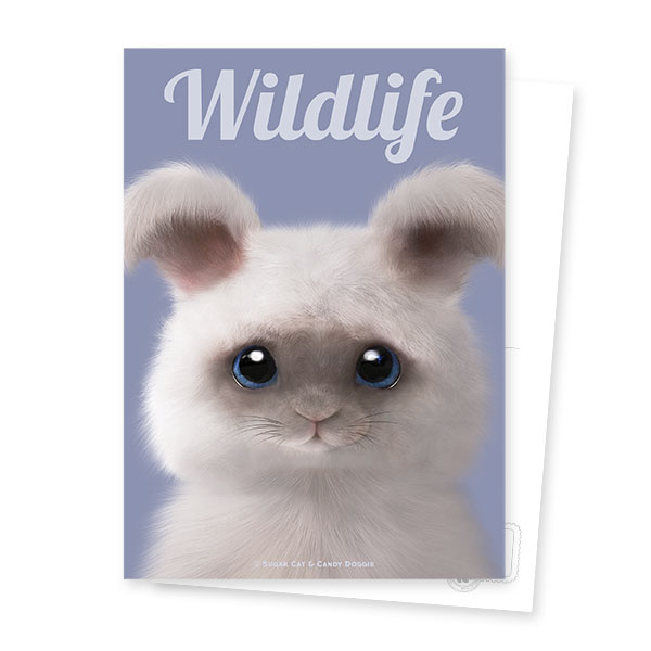 Fluffy the Angora Rabbit Magazine Postcard