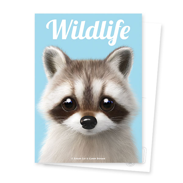 Nugulman the Raccoon Magazine Postcard