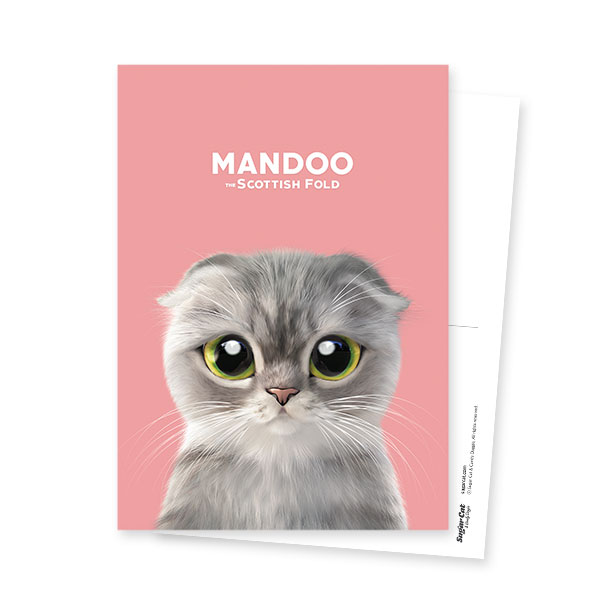 Mandoo Postcard