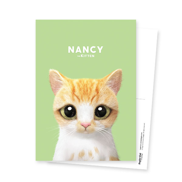 Nancy the kitten Postcard