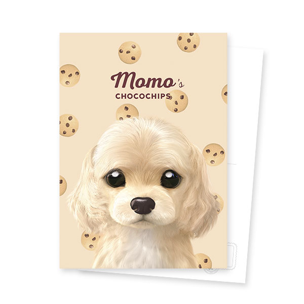 Momo the Cocker Spaniel’s Chocochips Postcard