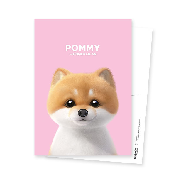 Pommy the Pomeranian Postcard