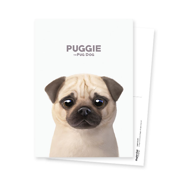 Puggie the Pug Dog Postcard
