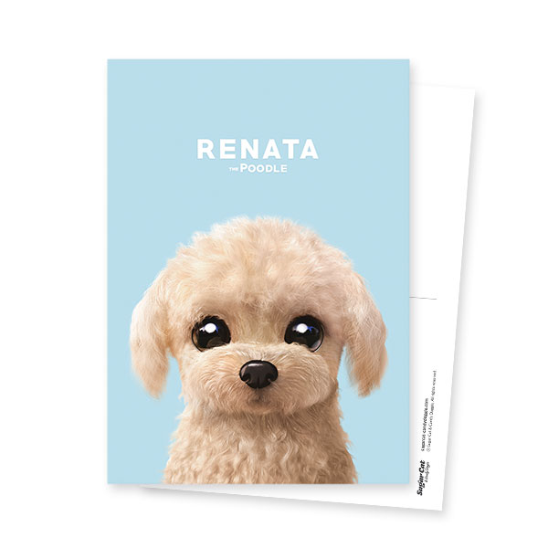 Renata the Poodle Postcard