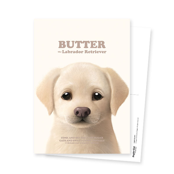 Butter the Labrador Retriever Retro Postcard