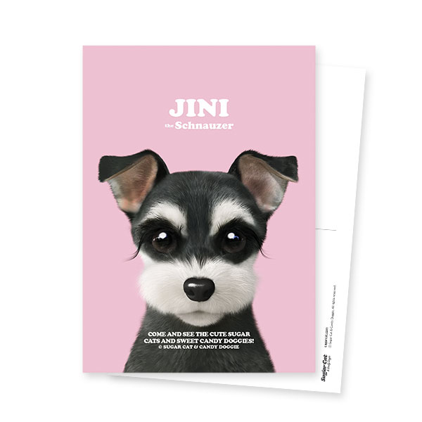 Jini the Schnauzer Retro Postcard