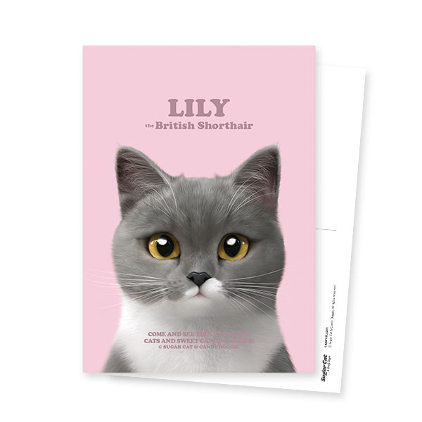 Lily Retro Postcard