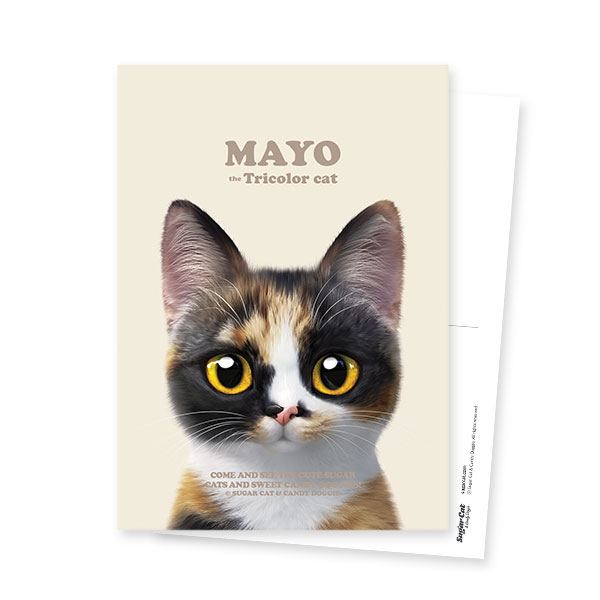 Mayo the Tricolor cat Retro Postcard
