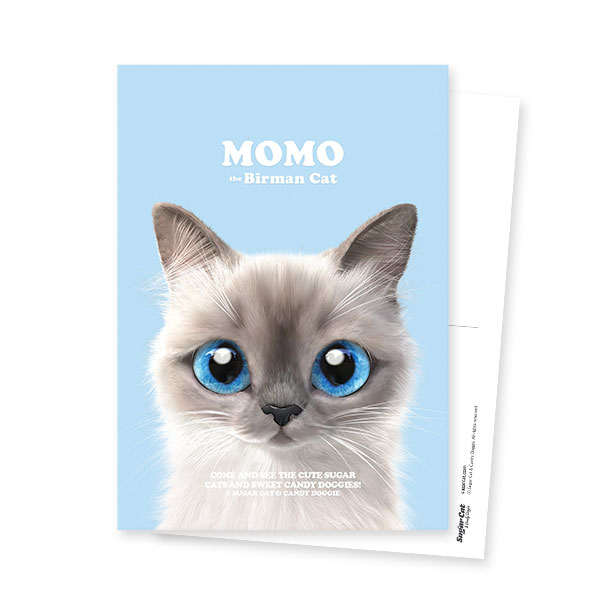 Momo Retro Postcard