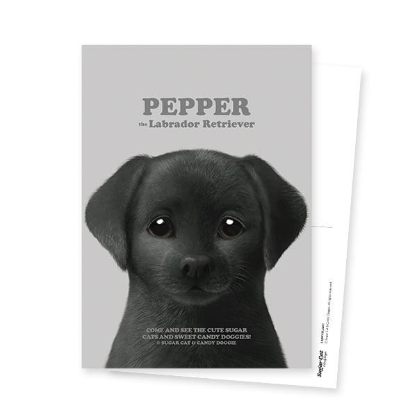 Pepper the Labrador Retriever Retro Postcard