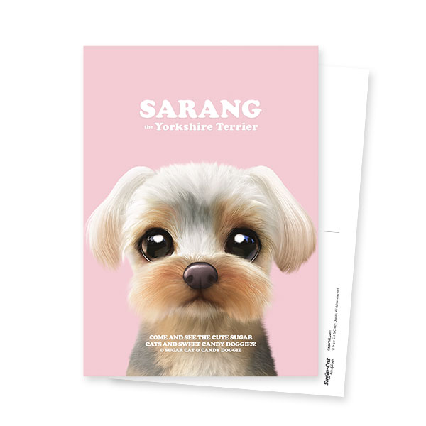 Sarang the Yorkshire Terrier Retro Postcard
