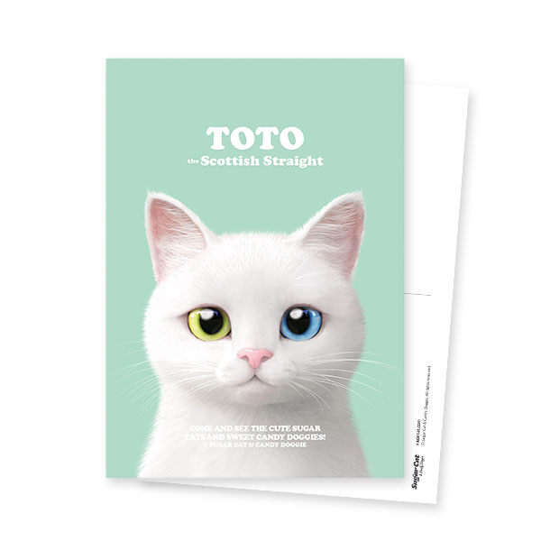 Toto the Scottish Straight Retro Postcard