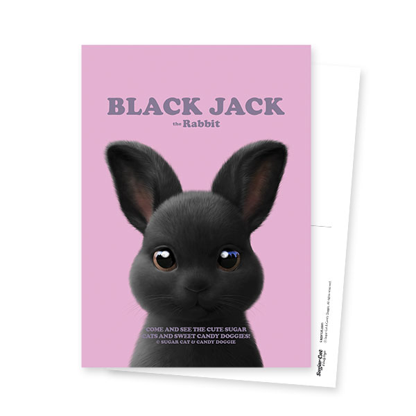 Black Jack the Rabbit Retro Postcard