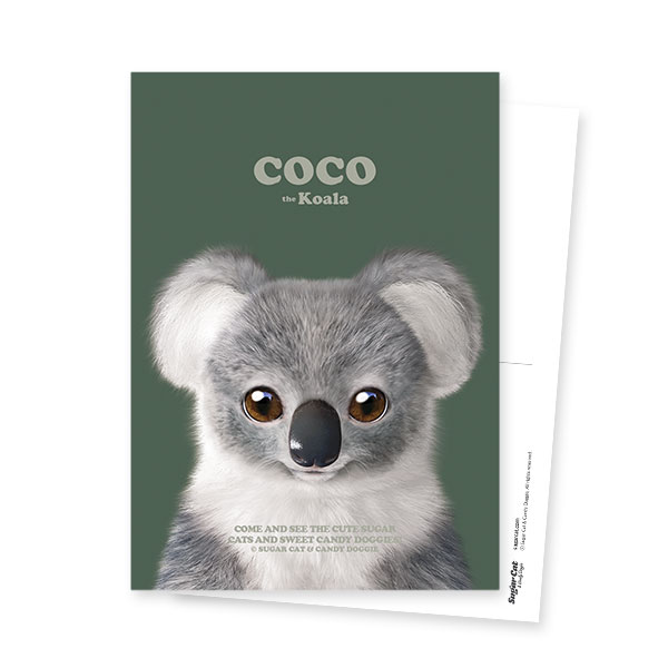 Coco the Koala Retro Postcard