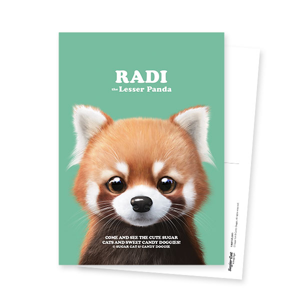 Radi the Lesser Panda Retro Postcard