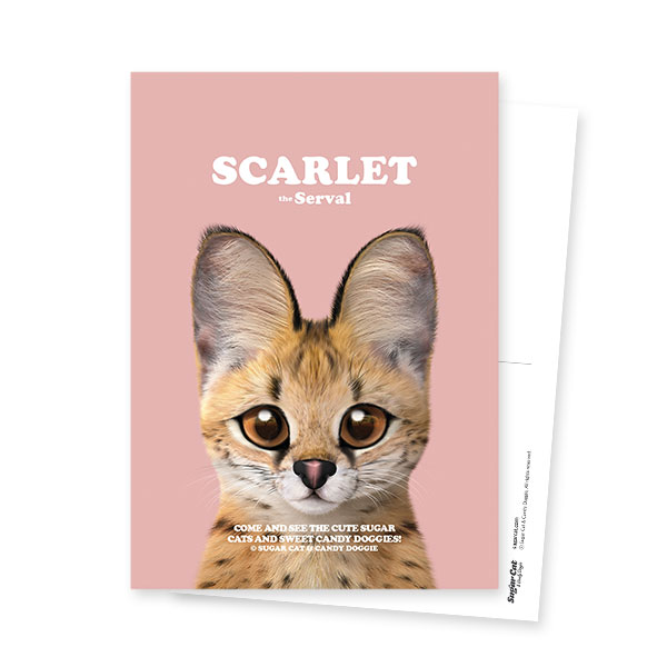 Scarlet the Serval Retro Postcard