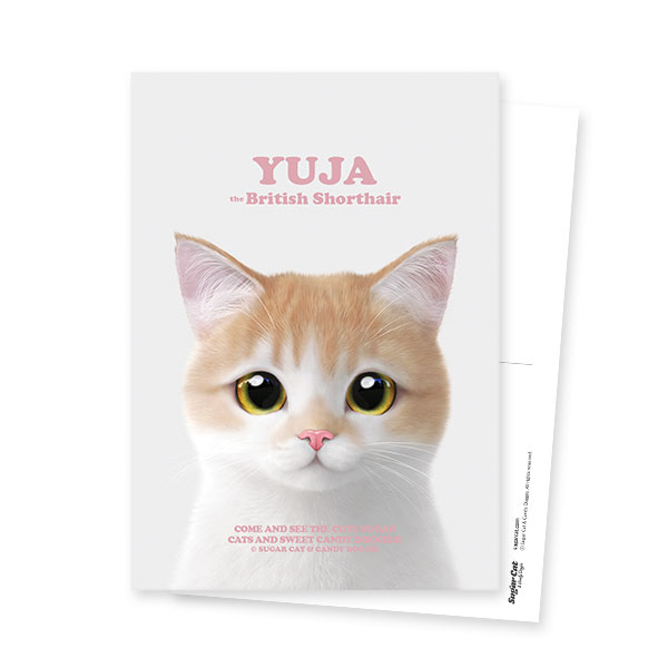Yuja the British Shorthair Retro Postcard