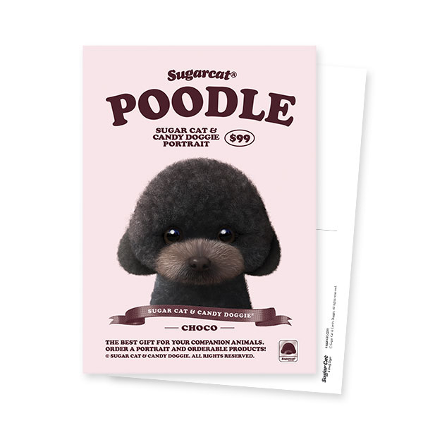 Choco the Black Poodle New Retro Postcard