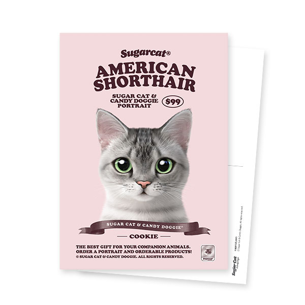 Cookie the American Shorthair New Retro Postcard