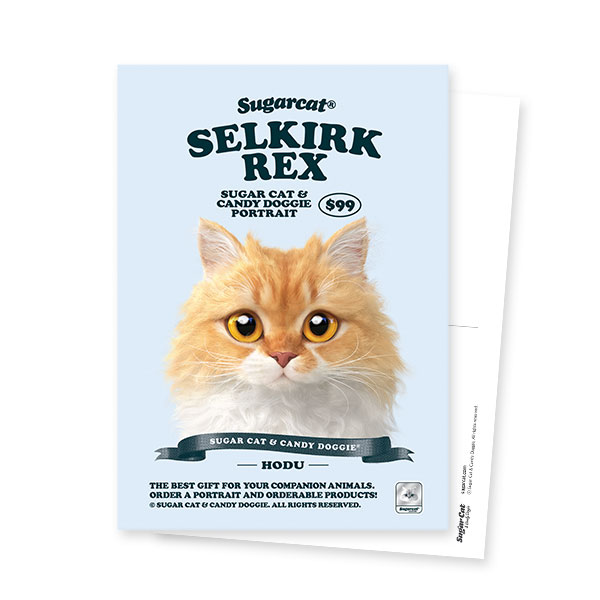 Hodu the Selkirk Rex New Retro Postcard
