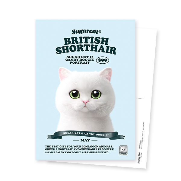 May the British Shorthair New Retro Postcard