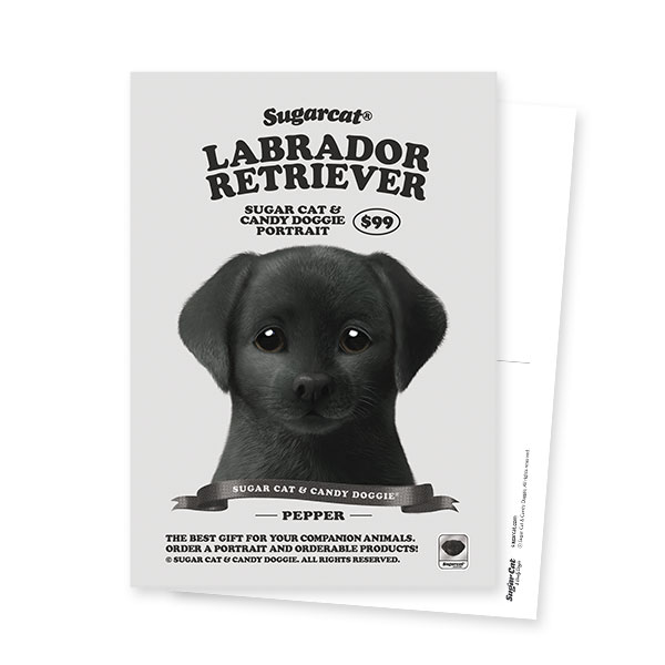 Pepper the Labrador Retriever New Retro Postcard