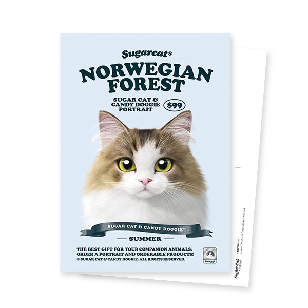Summer the Norwegian Froest New Retro Postcard