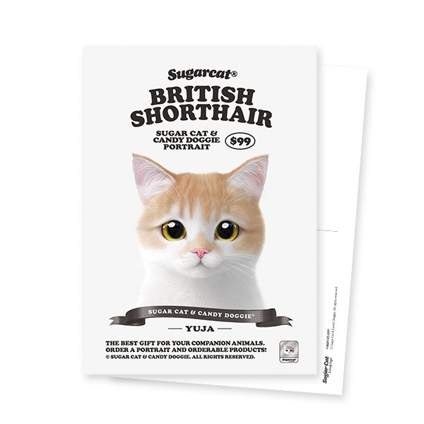 Yuja the British Shorthair New Retro Postcard