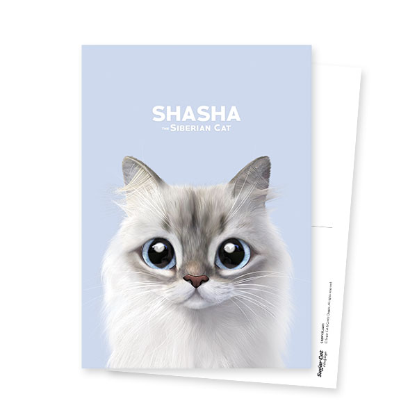 Shasha Postcard