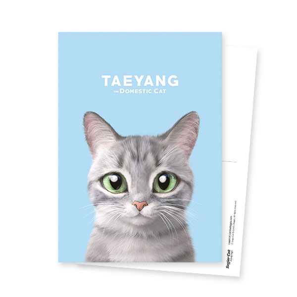 Taeyang Postcard