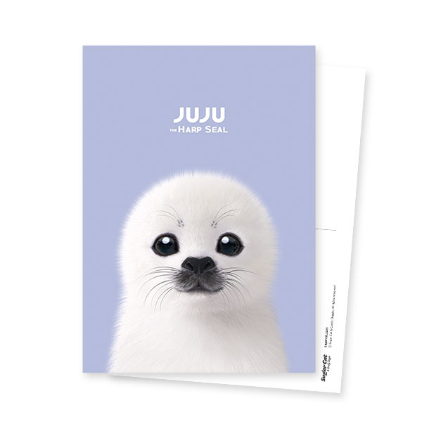 Juju the Harp Seal Postcard