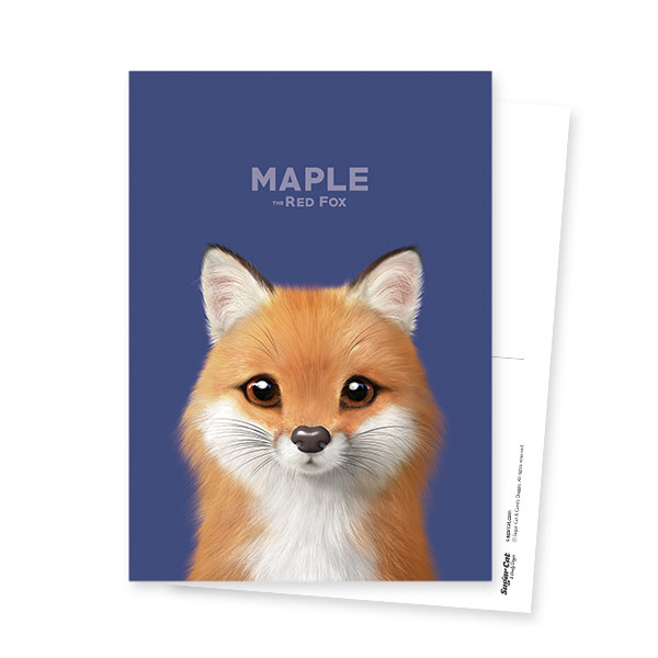 Maple the Red Fox Postcard