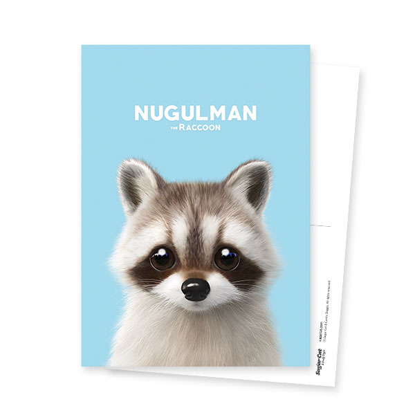 Nugulman the Raccoon Postcard