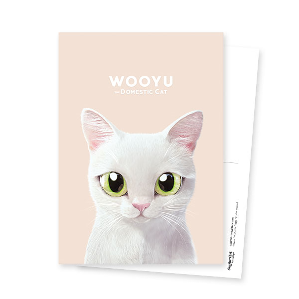 Wooyu Postcard