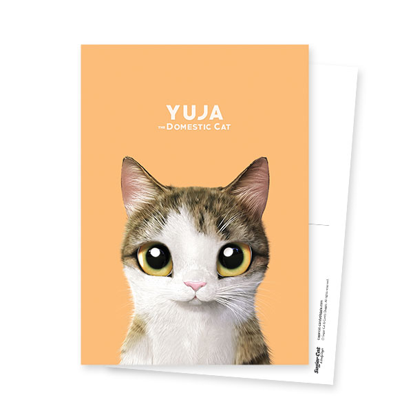 Yuja Postcard