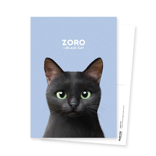 Zoro the Black Cat Postcard