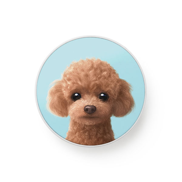Ruffy the Poodle Smart Tok