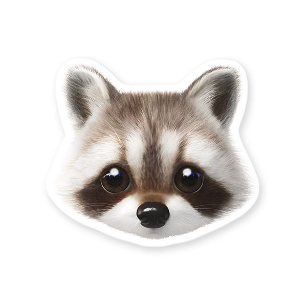 Nugulman the Raccoon Face Deco Sticker