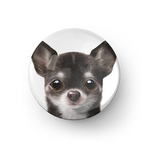 Leon the Chihuahua Acrylic Dome Tok