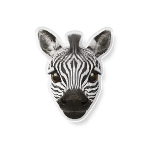 Zebra the Plains Zebra Face Acrylic Tok