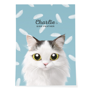 Charlie’s Bird Feather Art Poster