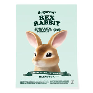 Haengbok the Rex Rabbit New Retro Art Poster